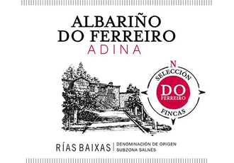 Do Ferreiro 2022 Albariño Adina
