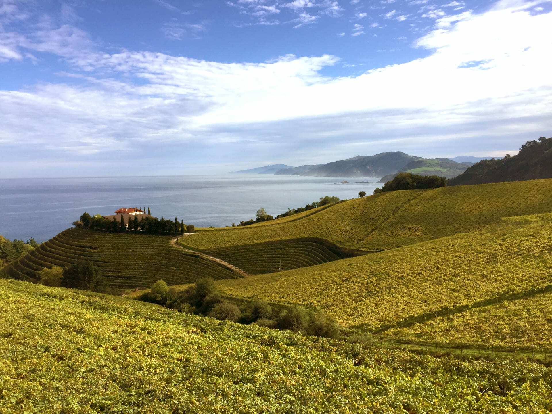 Ameztoi 2023 Rubentis Txakolina