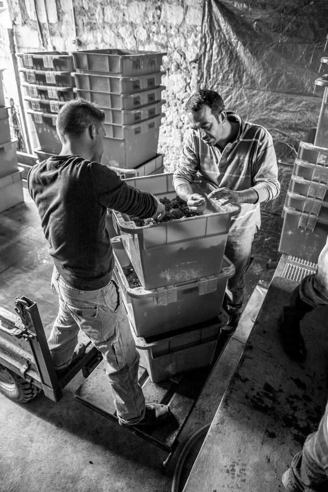 Domaine Guiberteau 2022 Saumur Blanc
