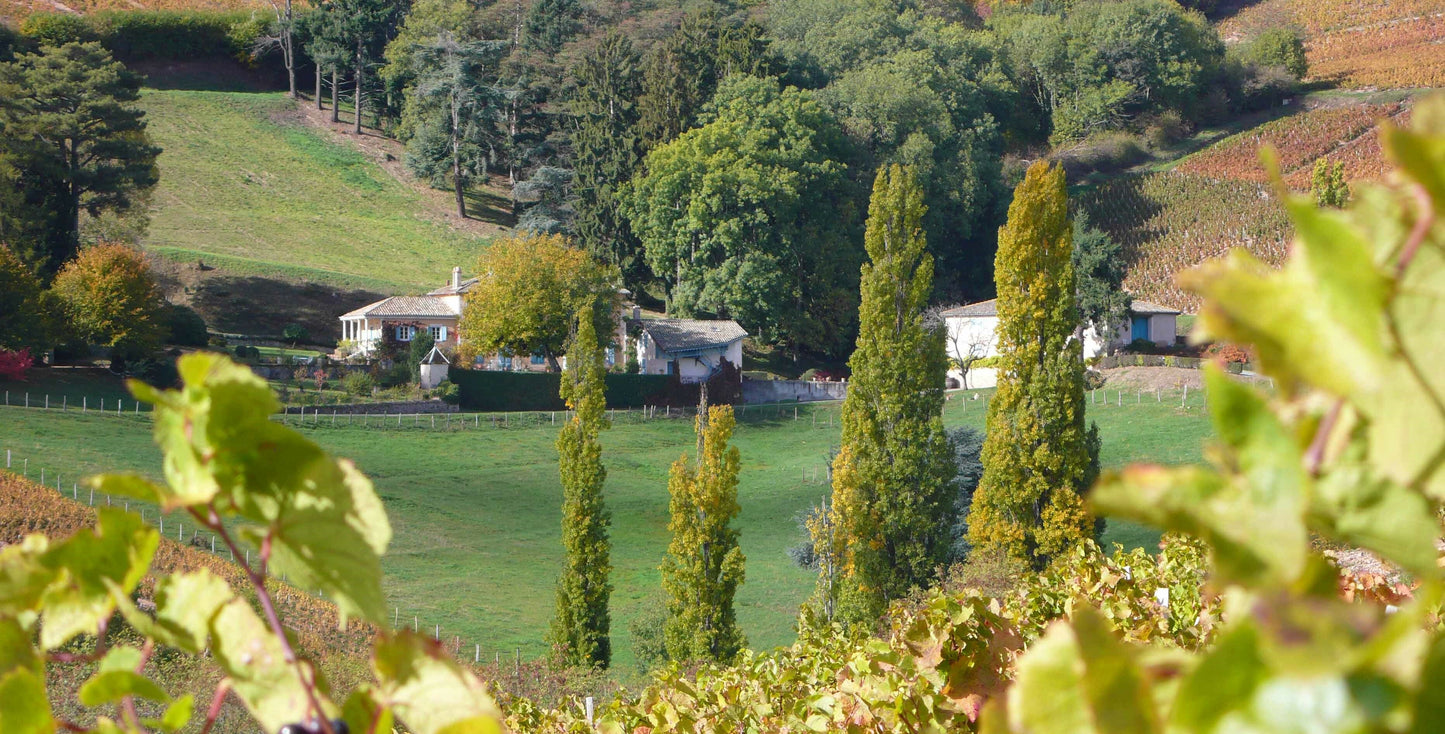 Chateau de Javernand Chiroubles Les Gatilles 2017