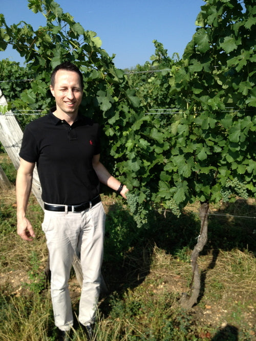 Weingut Brunn 2021 Gruner Veltliner Ried Stein