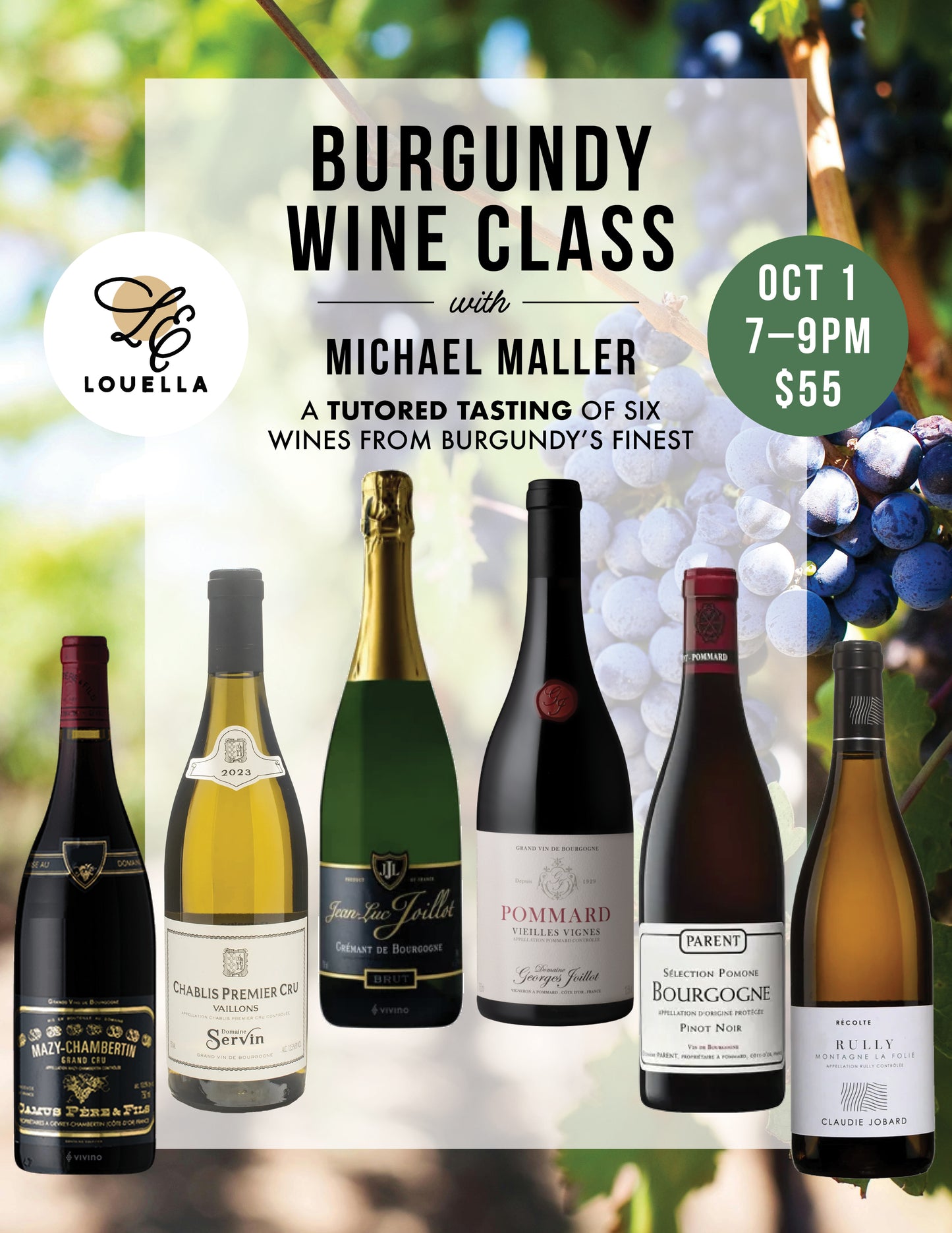 Burgundy Master Class - Tutored Tasting of Six Wines from the Best in Burgundy, France