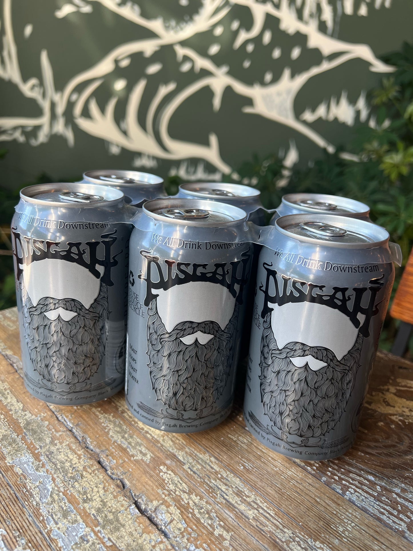 Pisgah Greybeard IPA