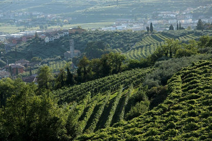 Tommaso Bussola 2019 Ca' del Laito Valpolicella Superiore Ripasso