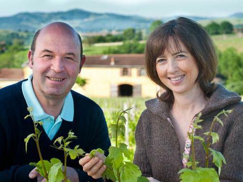 Pierre-Marie Chermette Domaine du Vissoux Coeur de Vendanges 2020