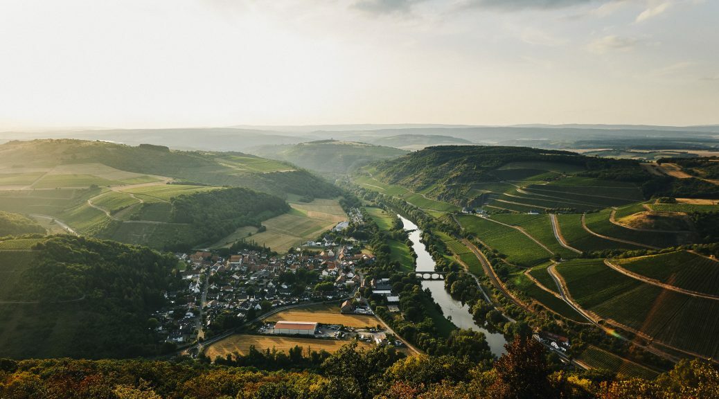 Weingut Donnhoff Tonschiefer Riesling Trocken Dry Slate 2023