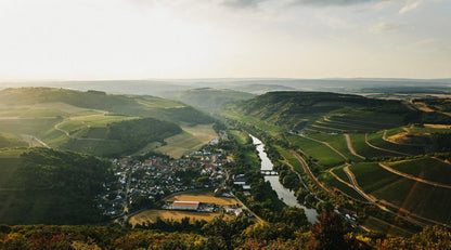 Weingut Donnhoff Tonschiefer Riesling Trocken Dry Slate 2023