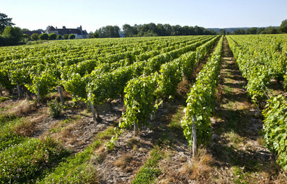 Domaine de la Croix des Vainqueres Vouvray Sec 2018