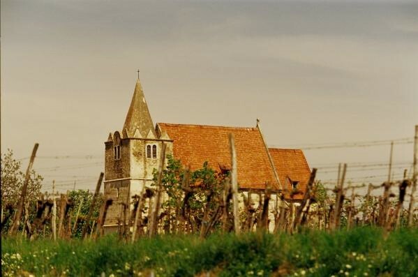 Weingut Brunn, Blauer Zweigelt Rosé 1L 2023