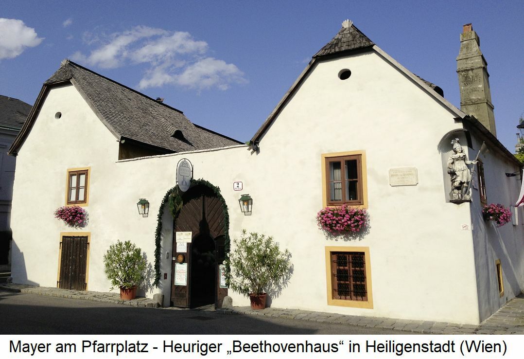 Mayer Am Pfarrplatz Pinot Noir 2017