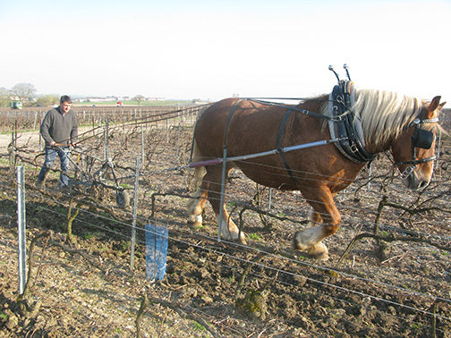 Champagne Benoit Lahaye “Rosé de Maceration Les Juliennes” Extra Brut NV