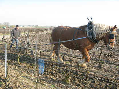 Champagne Benoit Lahaye “Rosé de Maceration Les Juliennes” Extra Brut NV