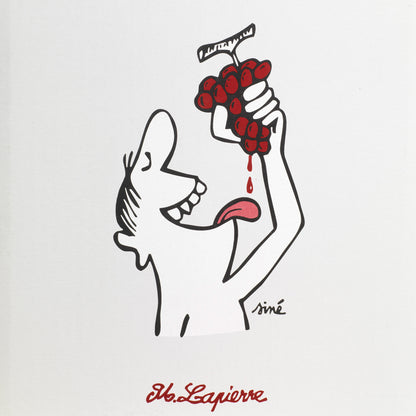 2022 Domaine Marcel Lapierre 'Raisins Gaulois'