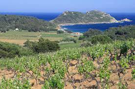 Bastide Blanche 2021 Bandol Rosé