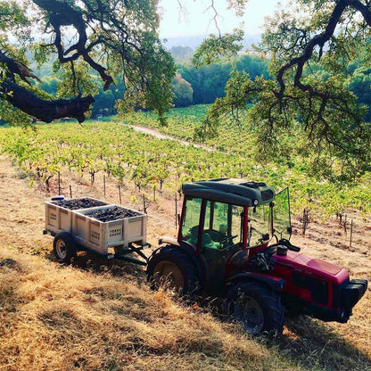 Terre Rouge 2016 Tete-a-Tete Rhone Blend