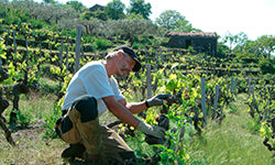 2021 Frank Cornelissen Munjebel Bianco