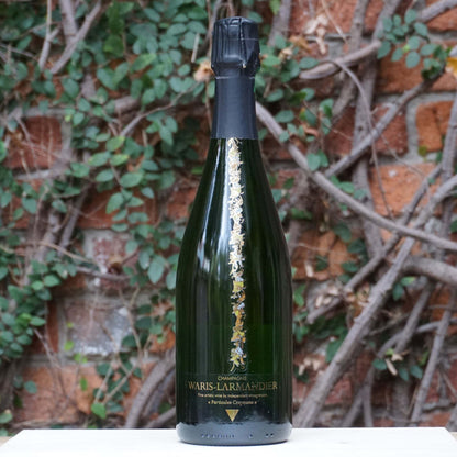 Waris-Larmandier NV Particules Crayeuses Grand Cru Blanc de Blancs Extra Brut Champagne