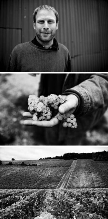 Patrick Piuze 2021 “Cotes d’Auxerre” Bourgogne Blanc