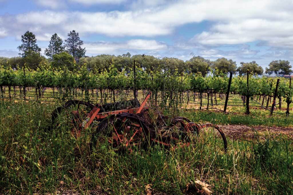 Dunn Vineyards 2018 Napa Cabernet Sauvignon