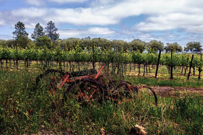 Dunn Vineyards 2018 Napa Cabernet Sauvignon