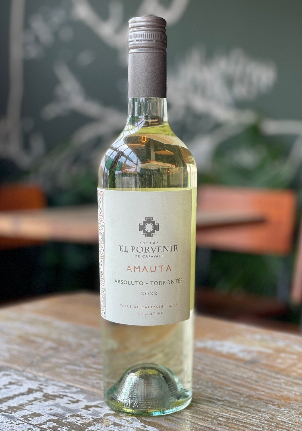 2023 El Porvenir Valle de Cafayate Torrontes